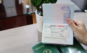 Tổng Hợp Các Quy Định Làm Hộ Chiếu Online Nhanh Mới Nhất