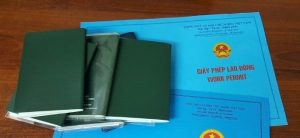 Hồ Sơ Đề Nghị Cấp Giấy Phép Lao Động Cho Người Nước Ngoài Gồm Những Gì