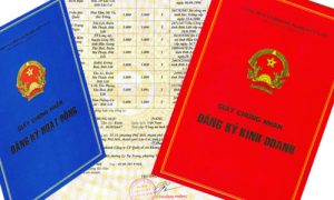 Giấy phép kinh doanh là gì? Những quy định về giấy phép kinh doanh