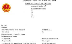E-visa Việt Nam là gì? Chi phí làm e-visa Việt Nam là bao nhiêu tiền?