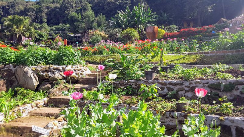 Bật mí lịch trình du lịch 5 ngày 4 đêm thú vị tại Chiang Mai