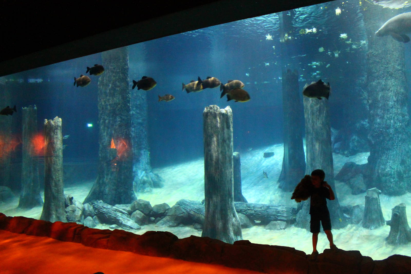 Khám phá về công viên giải trí River Wonders Singapore