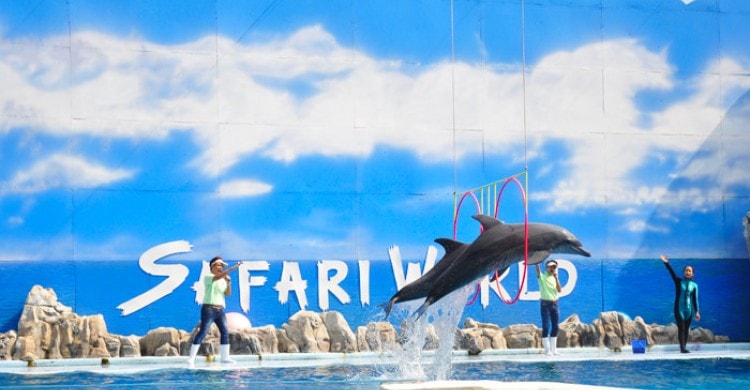 Kinh nghiệm du lịch Bangkok cùng gia đình mùa hè này