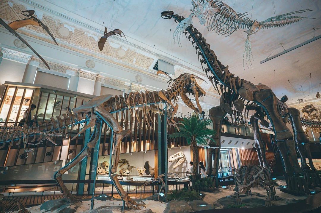 Du Lịch Đài Loan 6 Ngày 5 Đêm Với Các Điểm Đến Mới Lạ