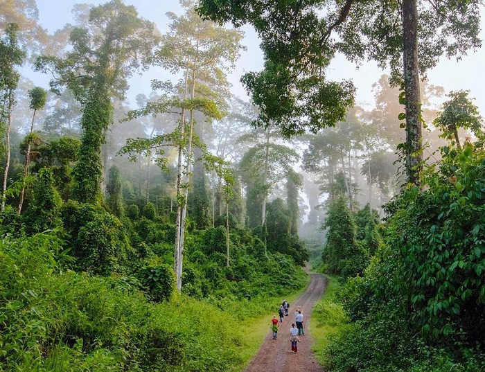 Top 8 địa điểm du lịch Malaysia cuốn hút cho hành trình mới 