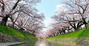 Những địa điểm du lịch Nhật Bản tuyệt vời ngoài Tokyo