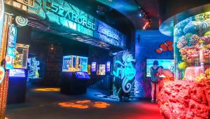 Bí kíp khám phá thủy cung SEA Life Bangkok Ocean World