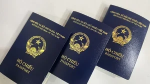 Đức nêu lý do ngừng cấp visa cho hộ chiếu Việt Nam mẫu mới