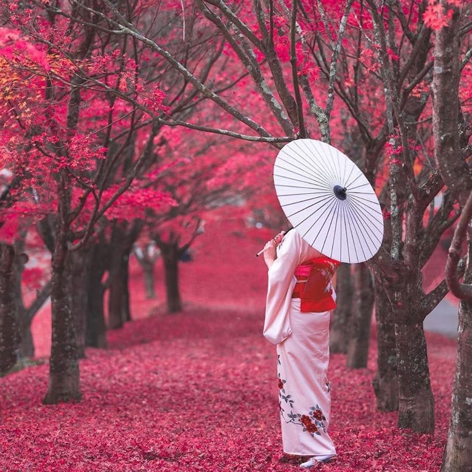 Nên đi Nhật vào tháng mấy để có chuyến đi trọn vẹn?