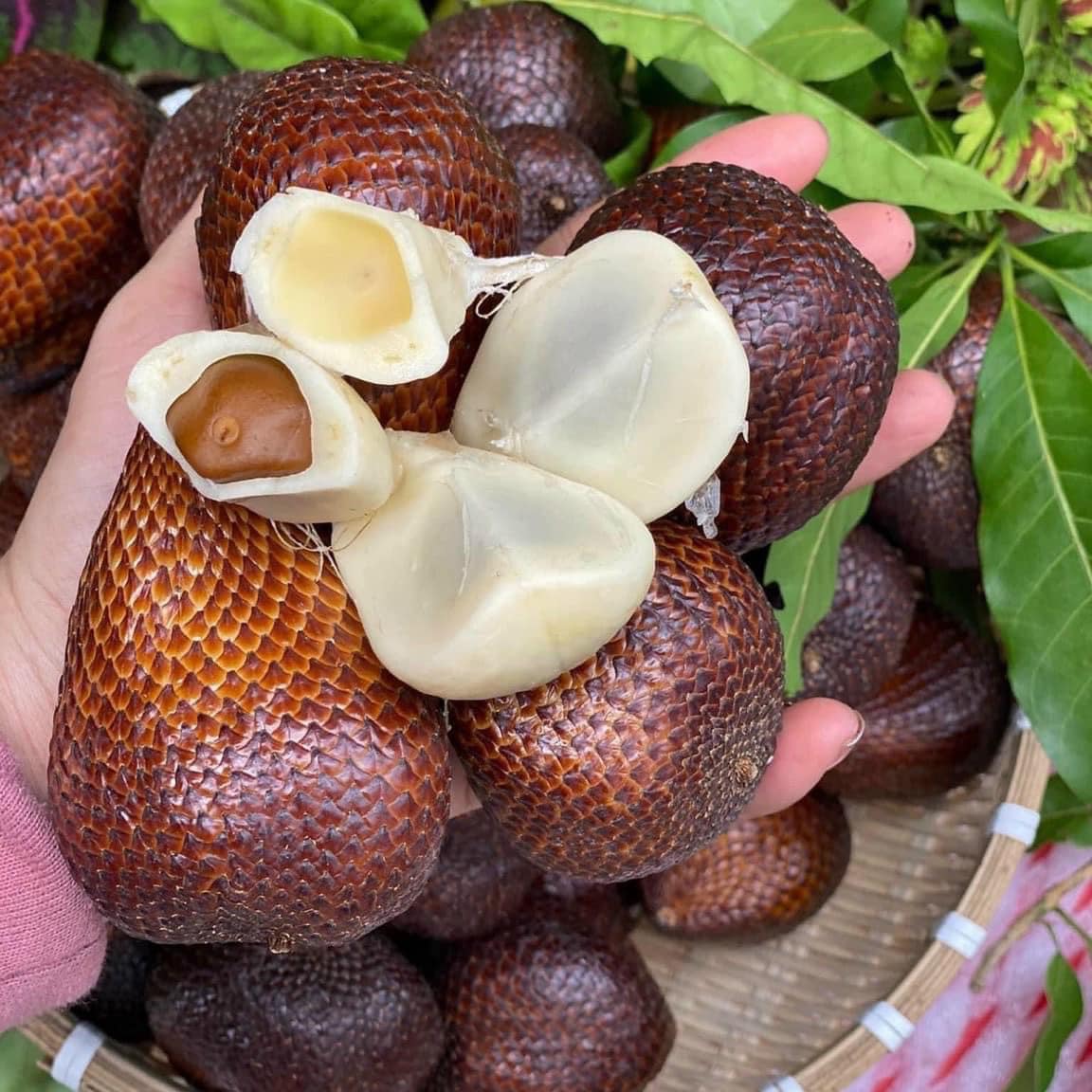 Du lịch miền Tây nên mua gì làm quà