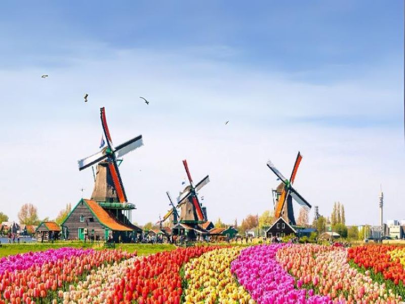 Tìm hiểu về đất nước Hà Lan