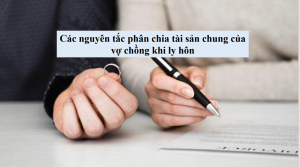 Những nguyên tắc được áp dụng khi ly hôn cho các cặp vợ chồng