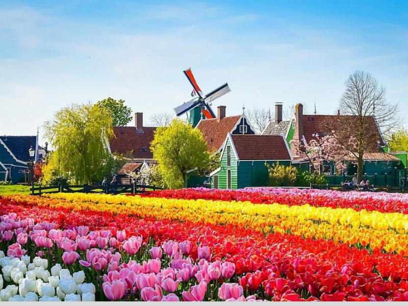 8 địa điểm tham quan hấp dẫn tại Hà Lan
