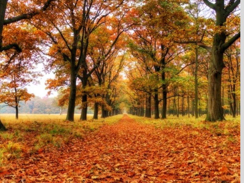 8 địa điểm tham quan hấp dẫn tại Hà Lan