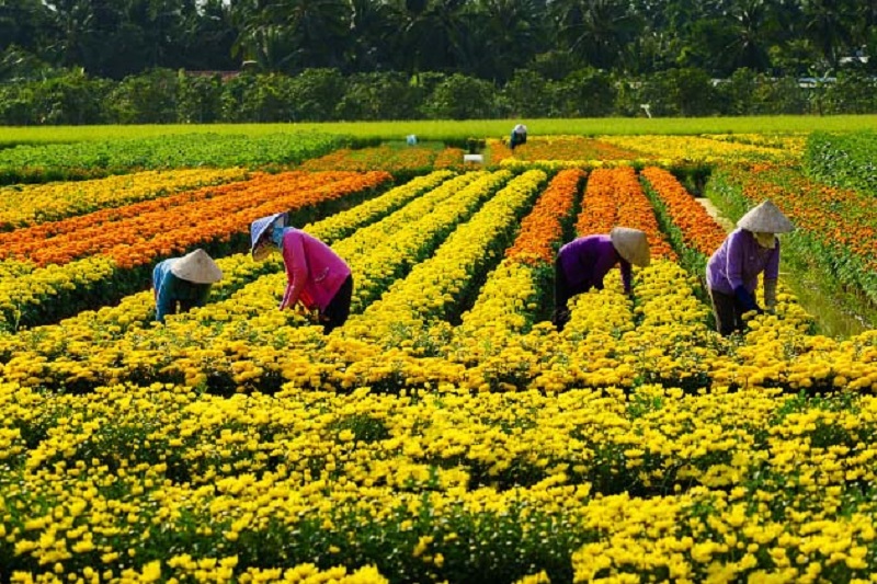 Vậy nên đi tour du lịch miền Tây mùa nào tốt?