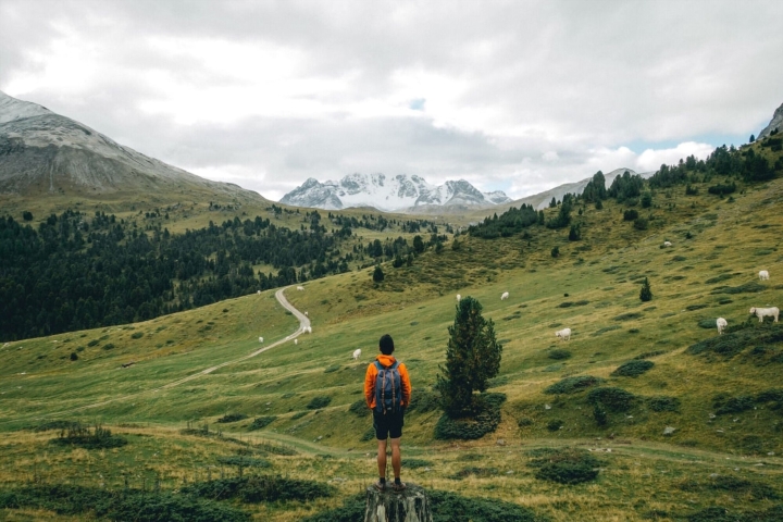 Những trải nghiệm phải thử khi đến thăm Vườn quốc gia Thụy Sĩ