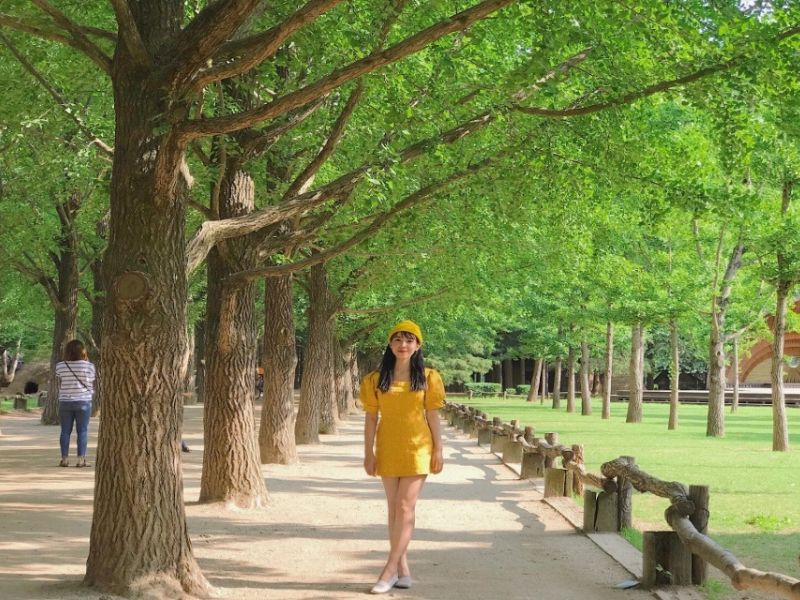 Du lịch Hàn Quốc mùa nào đẹp