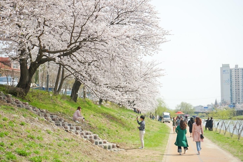 Địa điểm du lịch Hàn Quốc