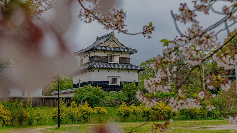 địa điểm du lịch Nhật Bản