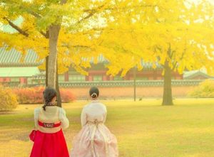 du lịch Hàn Quốc mùa nào đẹp