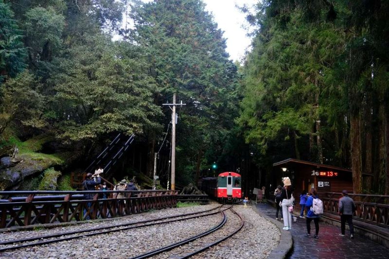 nông trại Đài Loan